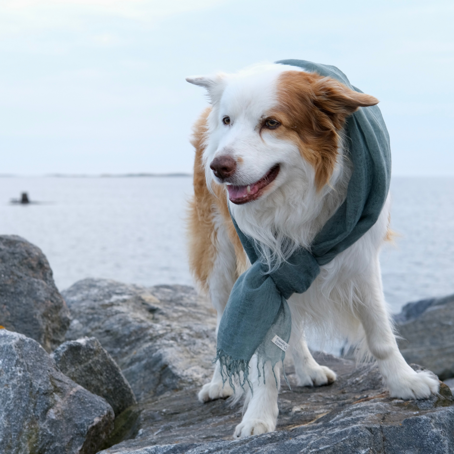 cashmere shawl blue green