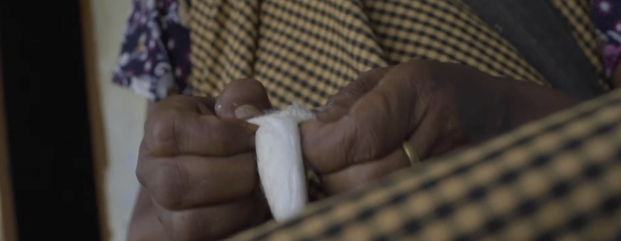 Load video: see the full journey from cocoon to cloth